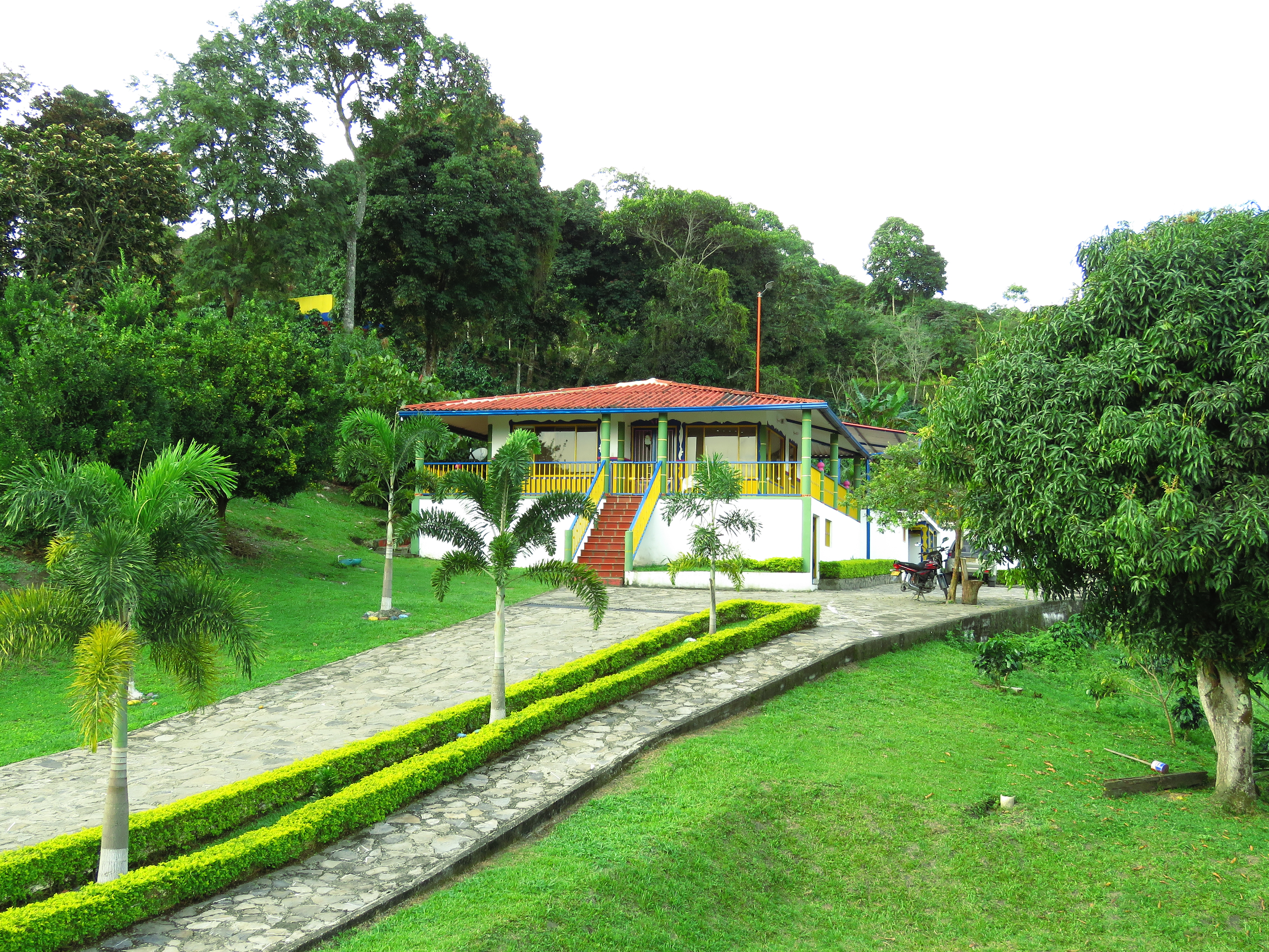 Finca
